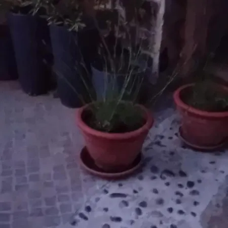 Alloggio in famiglia Roseart Room In Rose Resort, Ljubljana