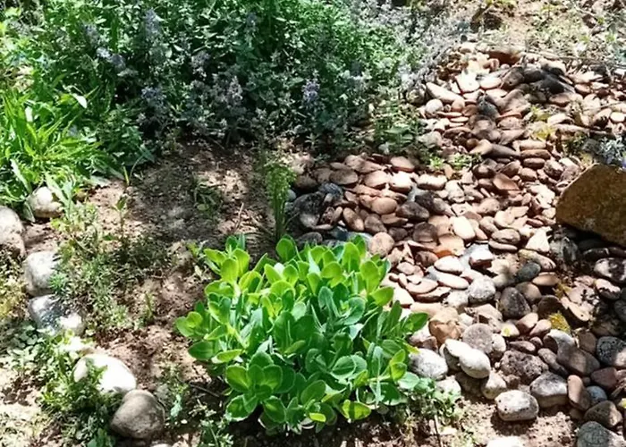 Lovely In Rose Resort, Alloggio in famiglia *